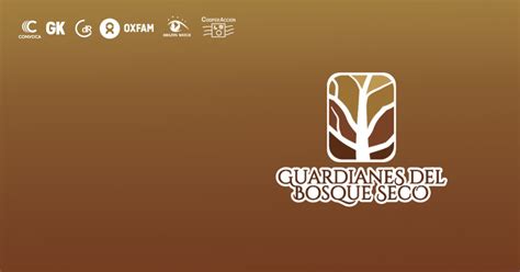 Guardianes Del Bosque Seco Videojuego Narra El Conflicto Entre