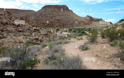 Javelina Wash Trail Hi Res Stock Photography And Images Alamy