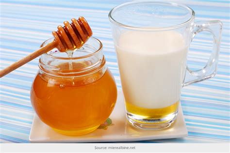 Is It Beneficial To Mix Honey And Milk Fitolympia