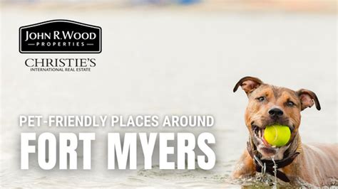 Pet-Friendly Places Around Fort Myers