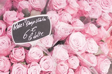 Paris Photo Roses Roses Bouquet Of Pink Roses In Parisian Etsy