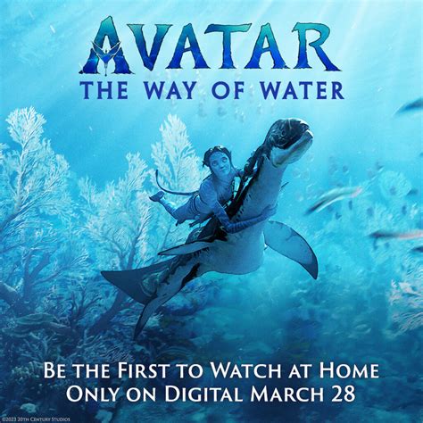 Avatar The Way Of Water Available On Digital The Momma Diaries