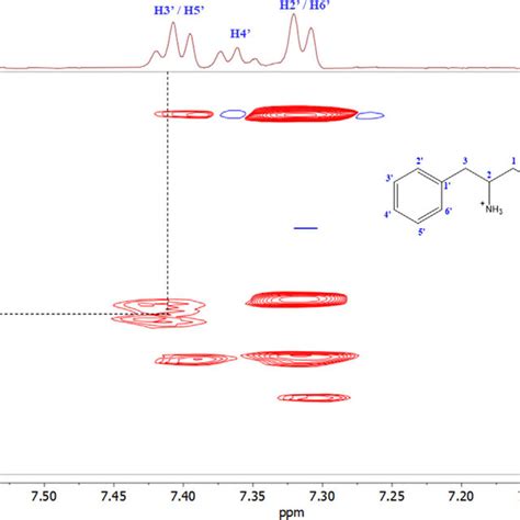 Partial 2D ROESY NMR spectra of solriamfetol and S γ CD showing