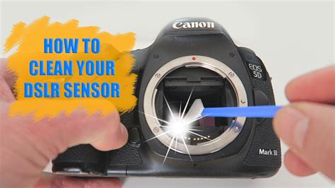 How To Clean A Canon Sensor - Occasionaction27