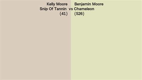 Kelly Moore Snip Of Tannin 41 Vs Benjamin Moore Chameleon 526 Side