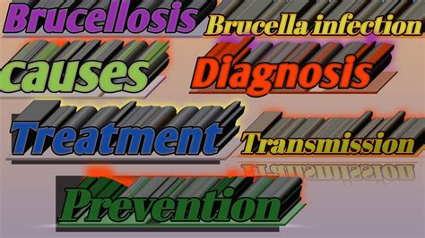 What Is Brucellosis Brucella Infection Causes Lab Diagnosis Treatment Transmission And