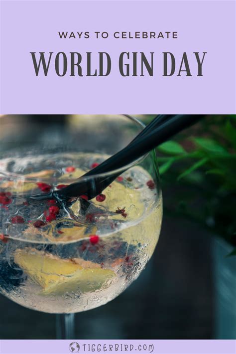 Ways To Celebrate World Gin Day Tiggerbirds Travels