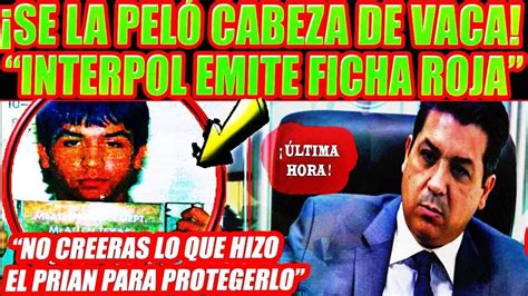 DE ULTIMA HORA INTERPOL EMITE FICHA ROJA PARA CABEZA DE VACA YouTube