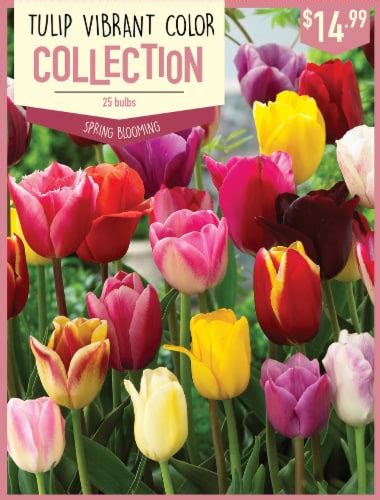 Garden State Bulb Tulip Vibrant Color Collection Bulbs Count Ct