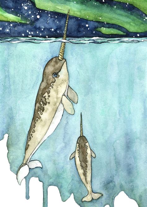 Watercolor Painting Narwhal Painting Narwhal Narwhal Art Whale