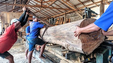 The Most Satisfying Wood Sawmill Turning Bent Teak Wood Into Door