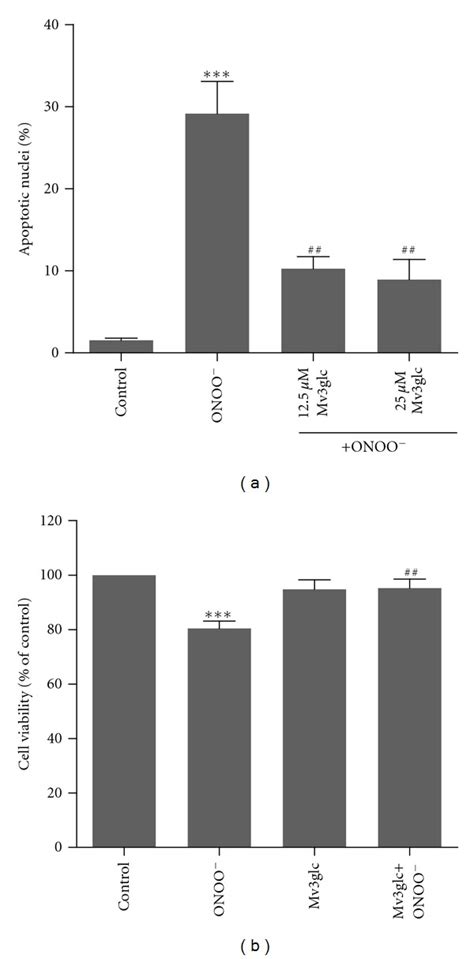 Mv3glc Prevented Peroxynitrite Mediated Apoptotic And Viability Changes