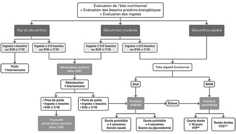 Tableau Des Vitamines Et Min Raux Pdf Devfall