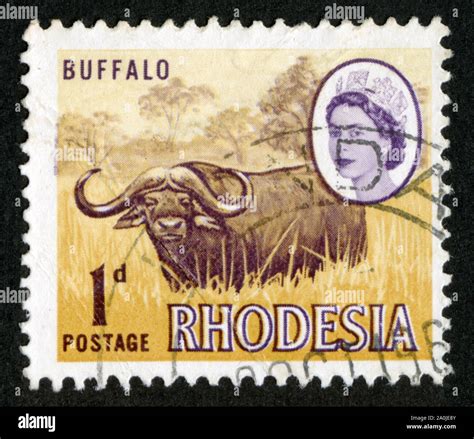 Old Rhodesia Buffalo Postage Stamp Hi Res Stock Photography And Images