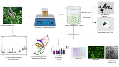 Nanomaterials Free Full Text Biogenic Synthesis Of Silver Core