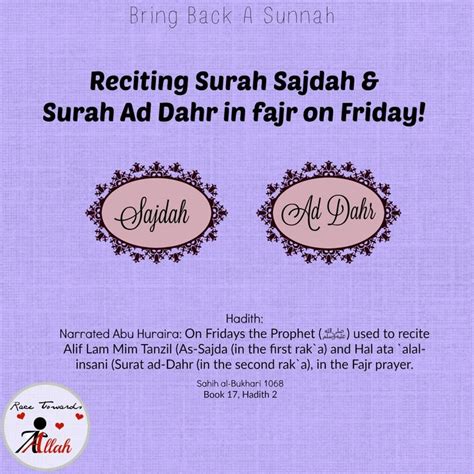 Bring Back A Sunnah Islamic Inspirational Quotes