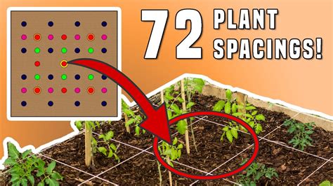 Square Foot Garden Planting Chart