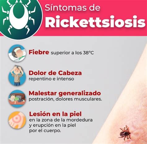 Van Casos De Rickettsiosis En Coahuila Noticieros Grem