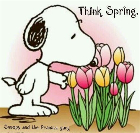 Spring Snoopy Pictures Snoopy Snoopy Love