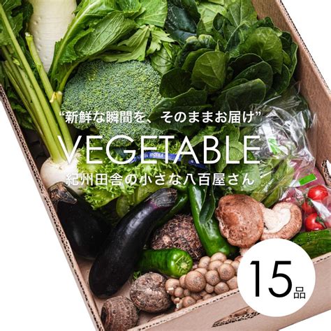 【楽天市場】【ふるさと納税】旬の新鮮野菜詰め合わせたっぷり15種以上【野菜セット】 和歌山県 印南町 和歌山 返礼品 支援 楽天ふるさと