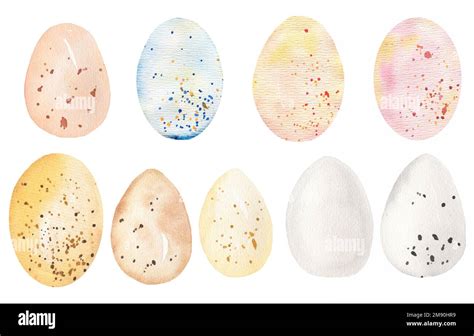 Watercolor Easter Egg Clipart Bird Eggs Wall Art Spring Festive