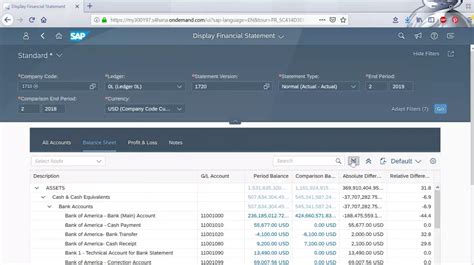 Display Financial Statement Tile In SAP FIORI And Balance Sheet Check