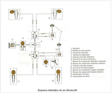 Tema Suspensi N Con Regulaci N De Altura Flashcards