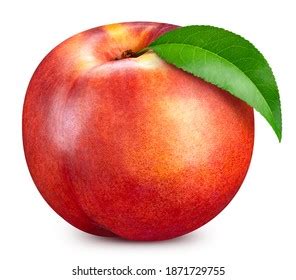 Fresh Peach Fruits Leaves Isolated On Stock Photo Shutterstock