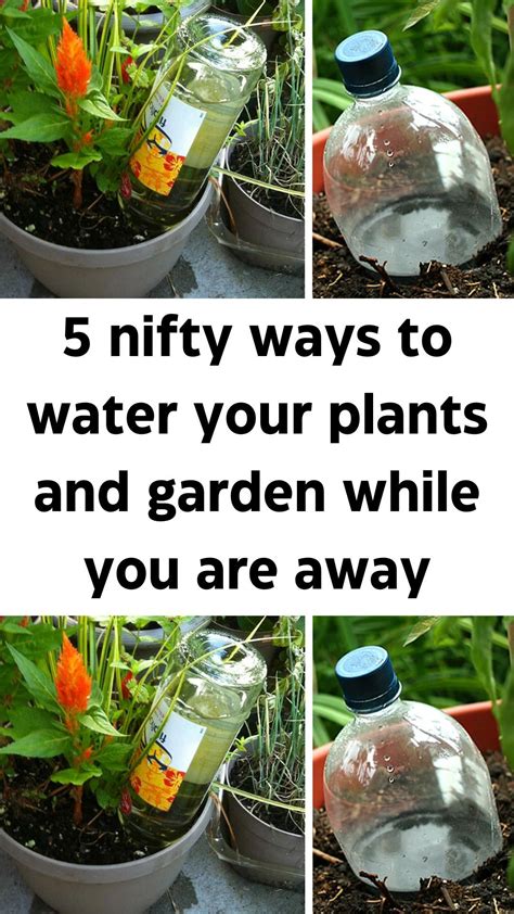 So You Want To Garden Artofit