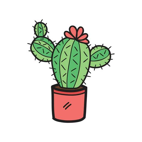 isolate organic castus houseplants element  vector art  vecteezy