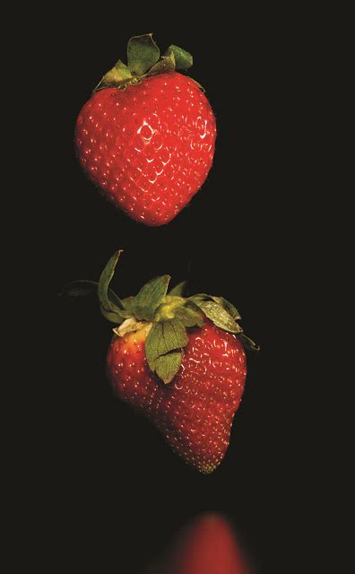 Fruit Strawberry Sweet Free Photo On Pixabay Pixabay