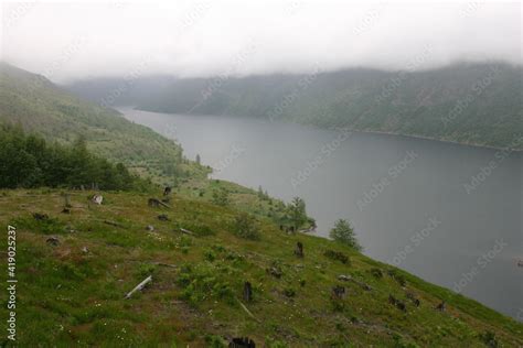 Mt St Helens Recovery From Erupting Looking At Spirit Lake On A Foggy Day In Washington State