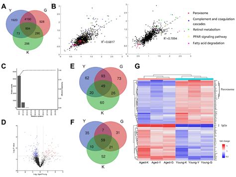 Comparative Proteomic Analysis Identifies Biomarkers For Renal Aging