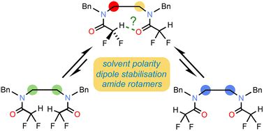 Conformational Preference In Difluoroacetamide Oligomers Probing The