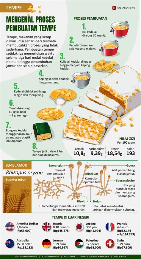 Mengenal Proses Pembuatan Tempe Infografik Antara News