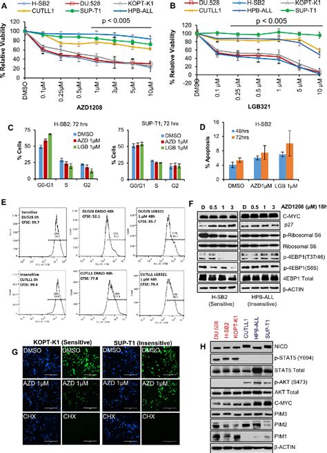 Figure From Targeting The Pim Protein Kinases For The Treatment Of A