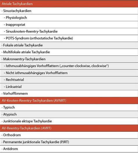 Herzrhythmusst Rungen Kardiologie Gef Medizin Universimed