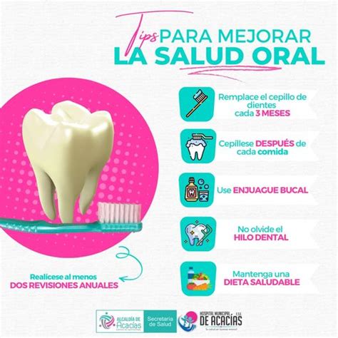 Importancia De La Higiene Oral Para Los Niños