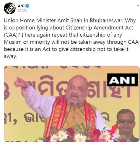 Opposition Lying On Caa No One Will Lose Citizenship Amit Shah