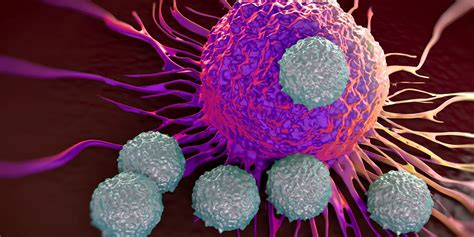 New Insights Into T Celltumor Cells Interactions Under Immunotherapy Clinicallab