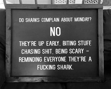 If You Re Not A Shark You Re Not Allowed To Complain About Mondays R