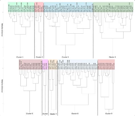 Hierarchical Cluster Analysis Hca Dendrogram Obtained For The Blue