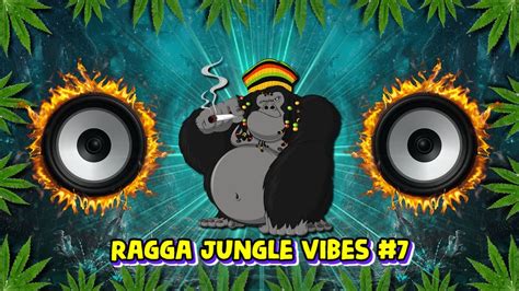 Ragga Jungle Drum Bass Vibes 7 Reggae DnB Mix YouTube