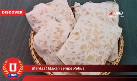 Temukan 6 Manfaat Makan Tempe Rebus Yang Jarang Diketahui Dan Penting