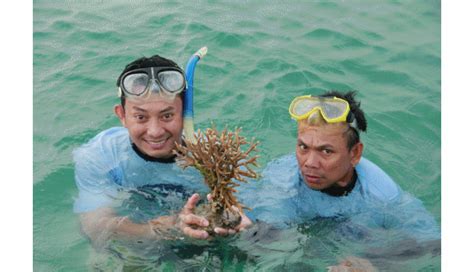 AS HOME STAY TANJUNG LESUNG