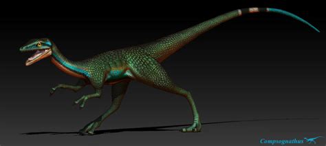 Compsognathus Noi Dinosauri