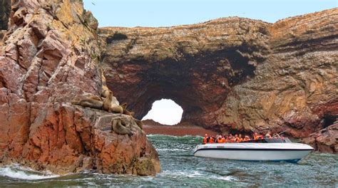 Tours En Paracas Islas Ballestas Buganvilla Tours