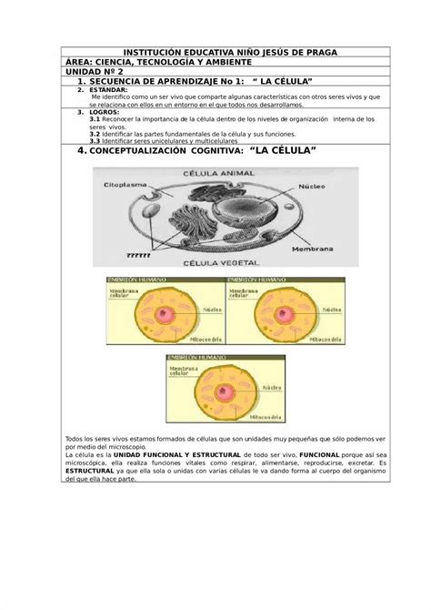 Pdf Seres Vivos Maria Dokumen Tips