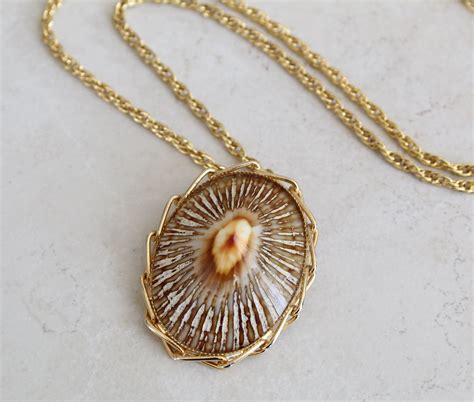 Seashell Pendant Necklace Brooch Polished Opihi Limpet Shell Etsy In