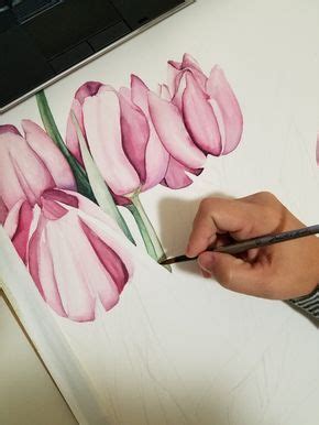 Pink Tulips Original Watercolor Esther BeLer Wodrich Pink Tulips